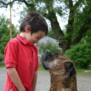 Meet your Posher, Jonas